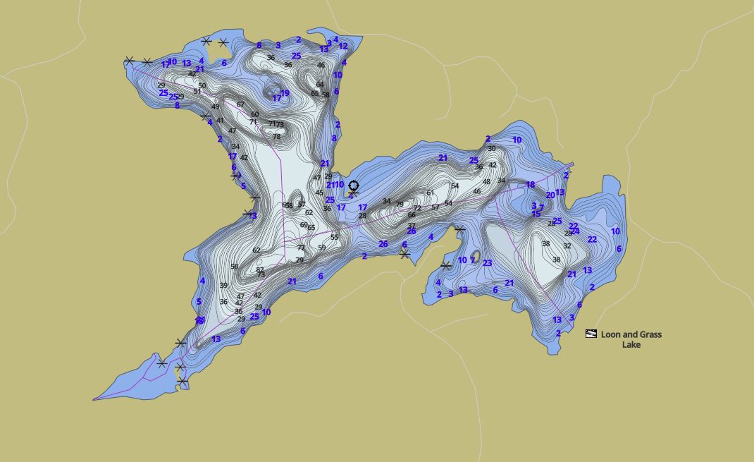 Contour Map of Loon Lake in Municipality of Kearney and the District of Parry Sound